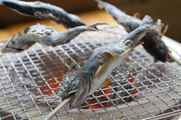 鮎・あまごのつかみ取り